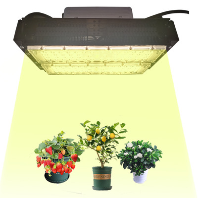 Spectrum greenhouse greenhouse Plants fill light strawberry pitaya Color LED Grow Light