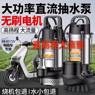 Brushless Dc Permanent Magnet 48V60V72V Battery Electric Vehicle Water Pump for Watering Vegetables Agricultural Submersible Pump