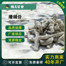 厂家直销天然珊瑚骨鱼缸过滤材料调节水体PH水质专用珊瑚砂