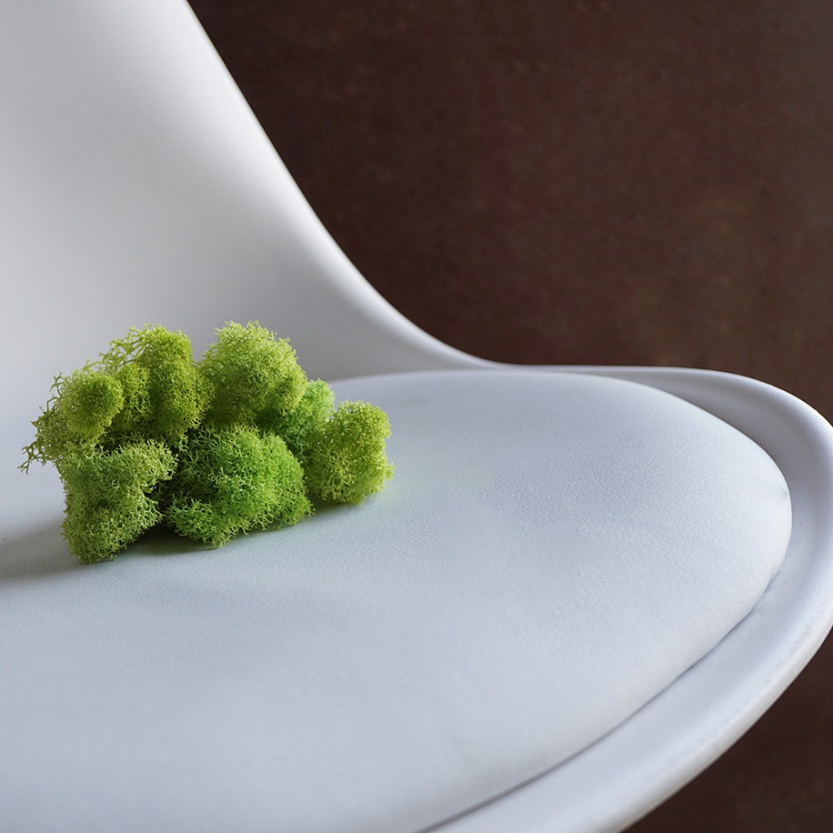 Yunnan fábrica de musgo flor eterna flor seca decoración del hogar gran cantidad Congyo