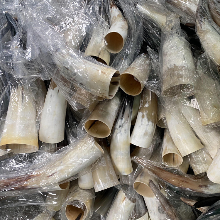 牛角酒具大容量杯角先黄牛角筒置物レトロ道具牛角製品工芸品|undefined