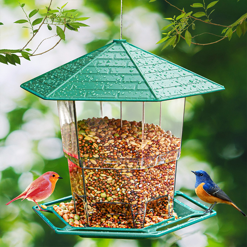 未标题-1600绿色