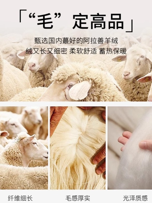富欣娜打底衫女秋冬新款毛衣针织衫简约内搭外穿纯色高级感羊绒衫|undefined
