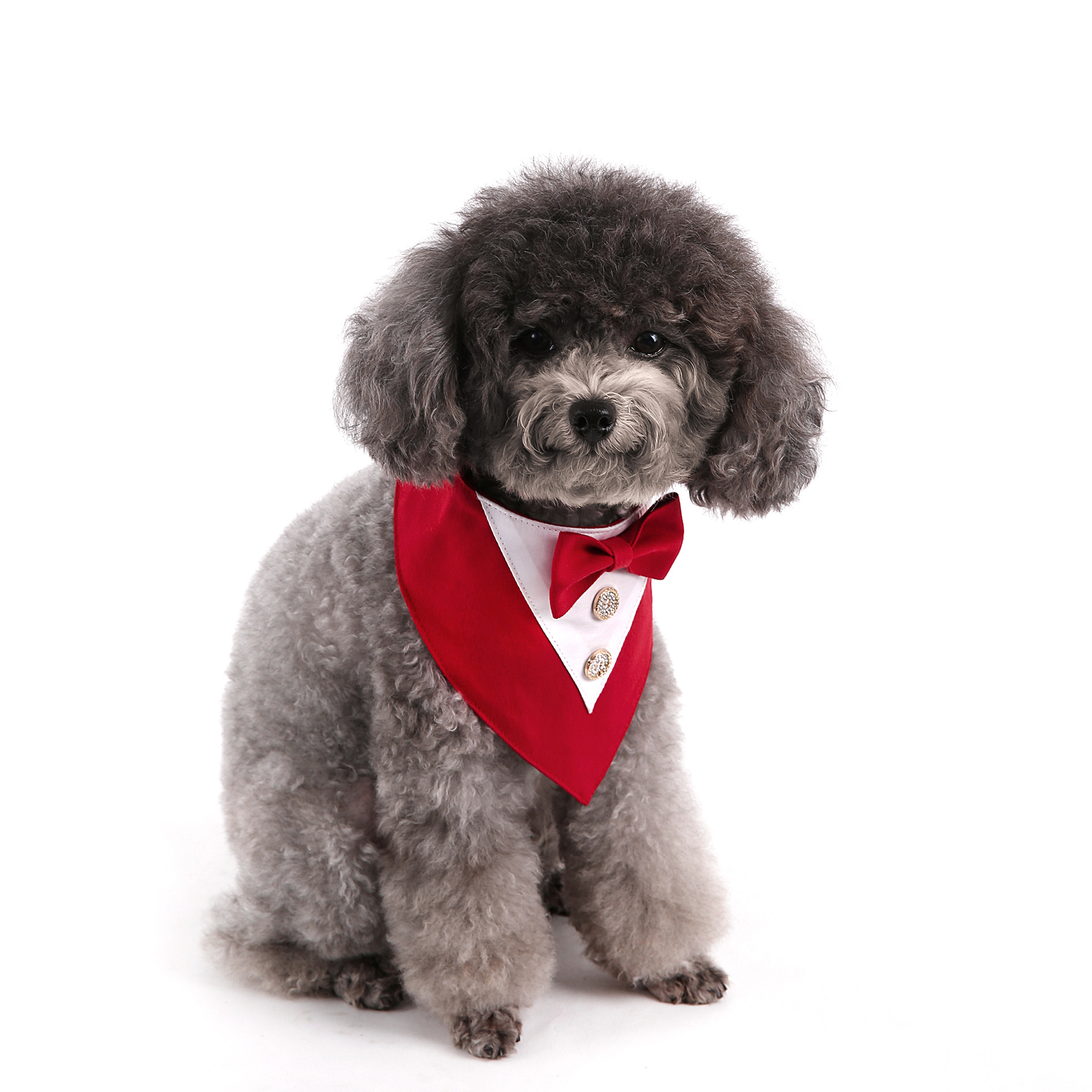 Navidad Año Nuevo Spot transfronterizo boda británica trajes toallas para mascotas bufandas perros velcro toallas para mascotas triángulos