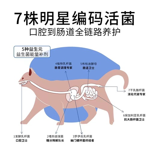 尾巴生活液体益生菌小蓝杯液体猫草宠物羊奶猫咪零食调理肠胃骗水