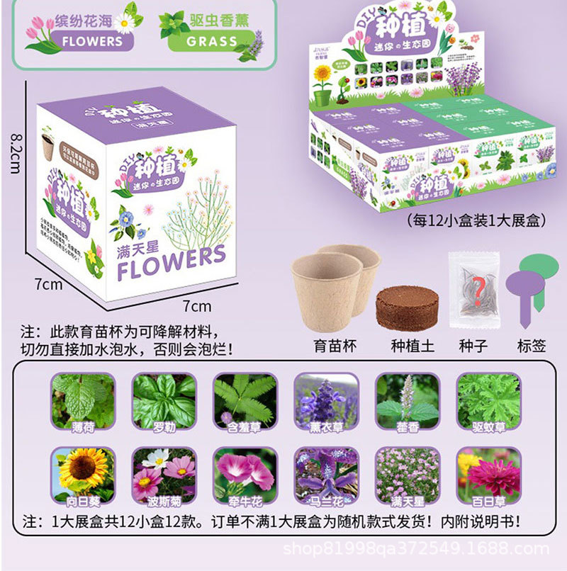 Jardín de infantes tareas de ciencia y educación para niños DIY plantación de plantas verdes plantas de flores en maceta semillas de regalo caja ciega