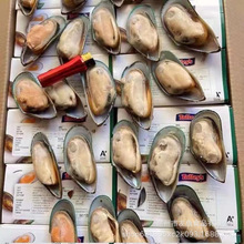 ̩ؐԭb뚤 ̩̥ؐؐo2*12/