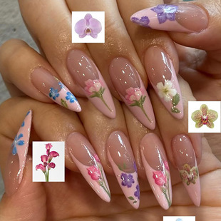 �羳���N�L���η�ʽ���ܣ�����õ���m��ָ�������L�������NƬ30Ƭ