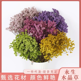 水晶草永生花云南厂家批发摆摊毕业花束教师节生日礼物干花