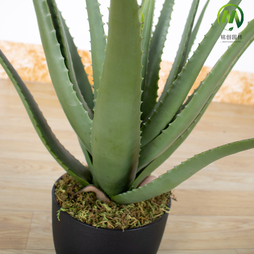 Decoración del hogar suculentas plantas en macetas simulación suave aloe vera bonsai alta simulación suculentas plantas verdes falsas en macetas image 5