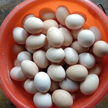 ���l���u�����r�r��ɢ�B���u�����u�����u���ۚ����I�B����