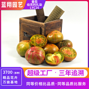 �ļ������Ѳ�������ȾС���t�����ҷ������ԷN���̨�߲˷N��
