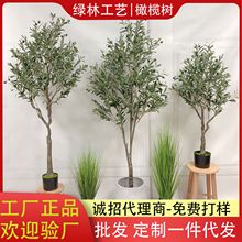 �S�����l�����ϙ�����Է���Gֲ���Ա��W�L����[���������Ԙ�