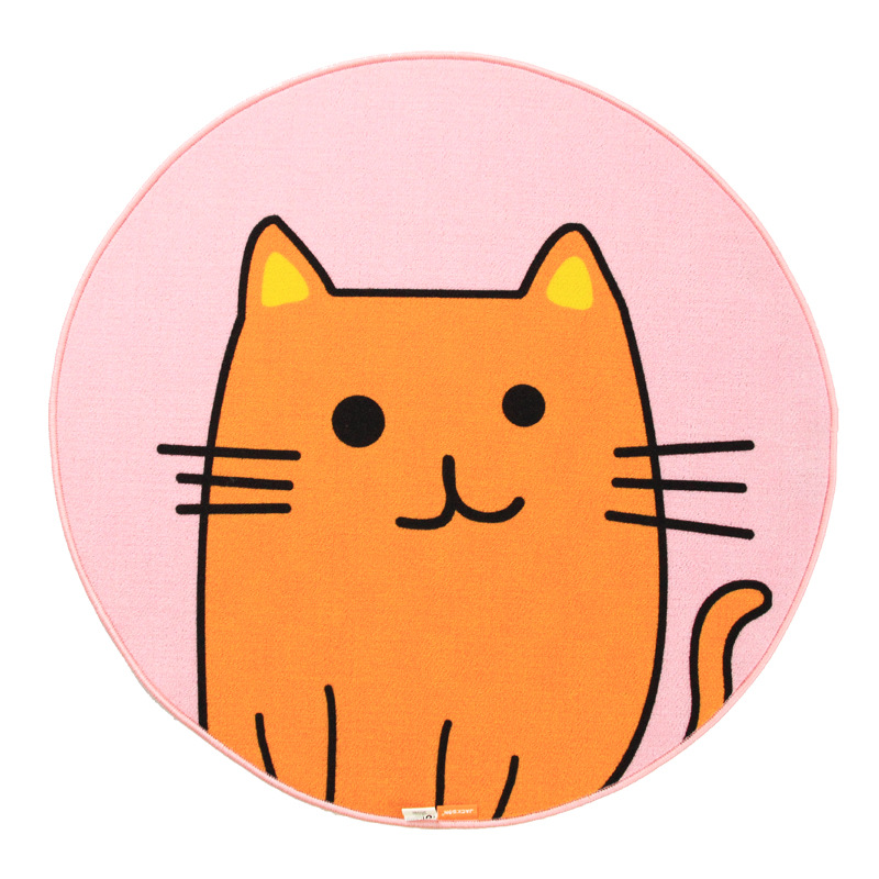 새끼 고양이