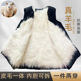 羊毛马甲冬季中老年皮毛一体坎肩羊皮背心马夹爸爸爷爷装特厚保暖