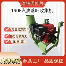 大功率落叶收集机汽油吸树叶牧草秸秆颗粒物料环卫园林养殖吸叶机