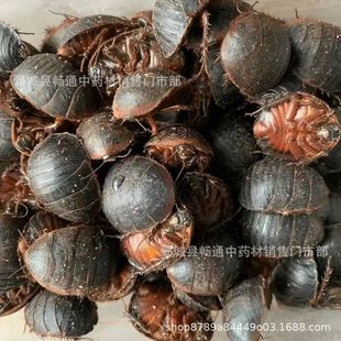 ��Ԫ��ș�����M�x���M�x��Ԫ�x��ʳ��500�ǻ�ɢ�b����r��