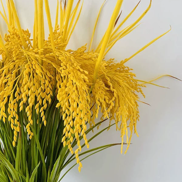 20 rice yellow
