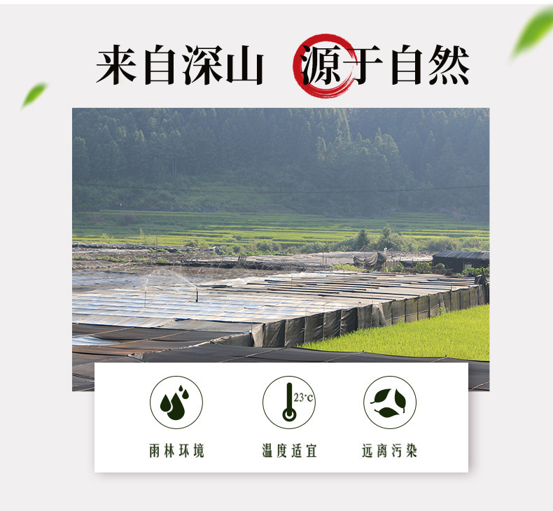 Dried Black Fungus Wood Ear Mushroom 250g Small Bowl Ear from Changbai Mountain Northeast China key features
