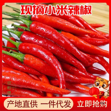 新鲜红小米辣椒10斤整箱一件代发辣朝天椒超辣朝天尖椒批发5斤