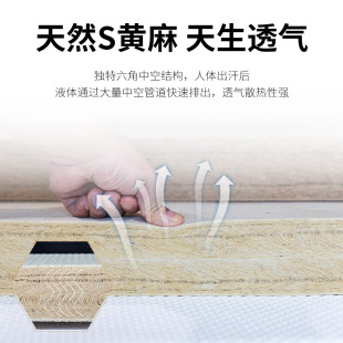 5Zw Wholesale Natural S-Shaped Fine Jute Mattress Hard Coconut Palm Mattress Environmentally Friendly Glue-Free Pure Thickeneded Kidsren's Tatami Home