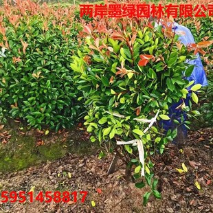�t�~ʯ骼t���^ľ��ɭŮؑ���;G�����̘���@�քe��ͥԺ�G���G�h
