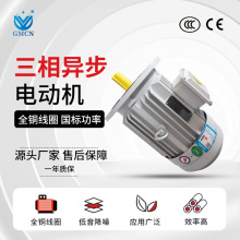 2��ת������綯�� YE3-160M1/M2/L-2���ǵ�� 11-18.5KWȫͭ����