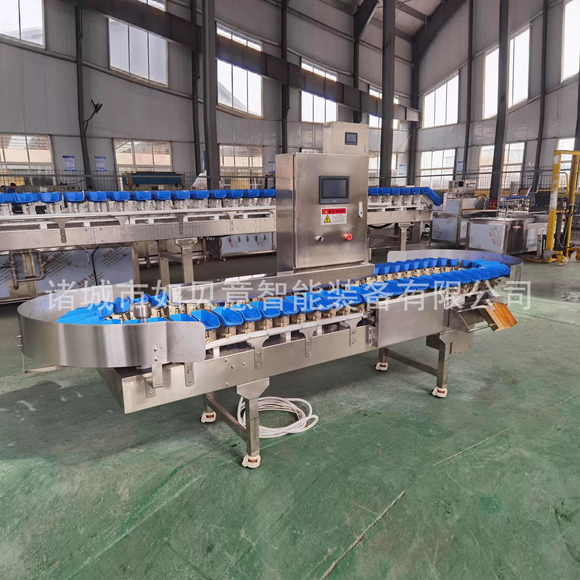 Pipa ножка сортировка размер ракушки вес сортировка желтая горбыль треска взвешивание вес сортировка оборудование