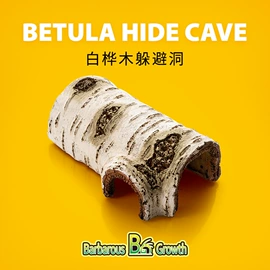 鱼缸;造景/装饰;其他小宠用品