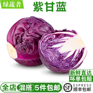 ���ͼy�ϸ��{650g ���r�ϰ�����ɫ�����˼tҬ�������߲�ɳ��ʳ��