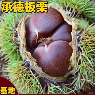 �ͺ���Ʒ�N�е°������������ͥԺ����t����������箔��Y��