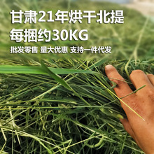 2023年新草提摩西草甘肃烘干北提批发30KG起兔子干草龙猫荷兰猪豚