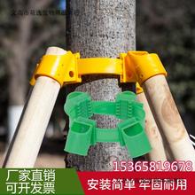 树木支撑固定器绿色塑料套杯绑扎带卡扣园林绿化大树支撑器稳固树