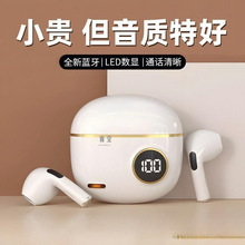 2024�o��ԭ�b���L��Ş���C�m�����¿����m���{�����@