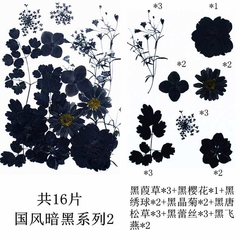 내셔널 스타일 다크 시리즈 2