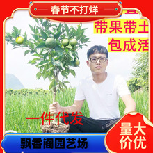 һ�����l�V������ɰ���٘��玧���Ϸ��������Լ޽��ָ̽����ɳ��