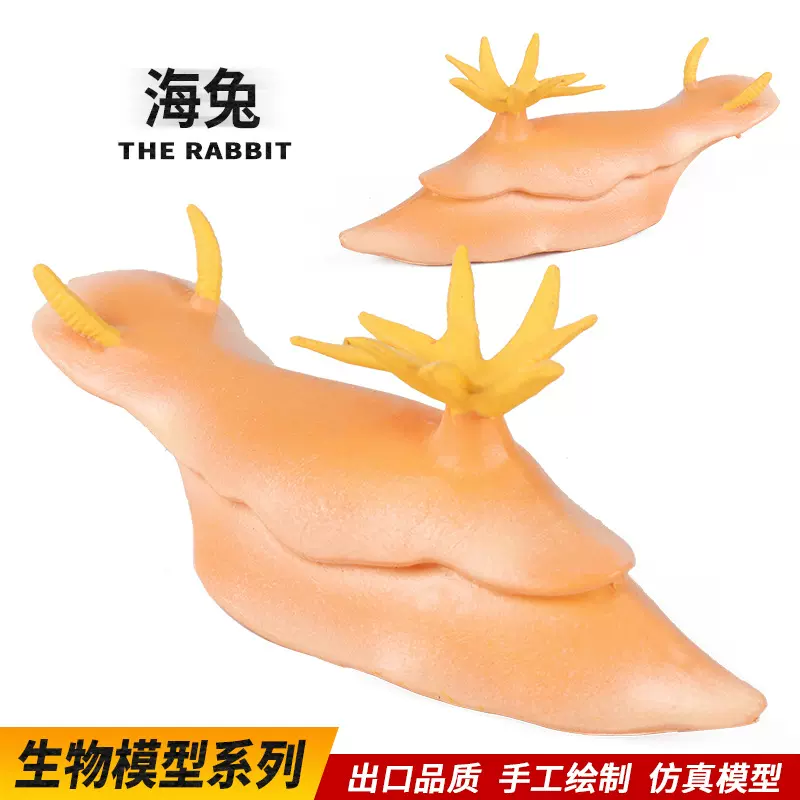 儿童科氏启蒙实心仿真海洋动物海兔海蛞蝓海蛞蝓玩具模型认知摆件
