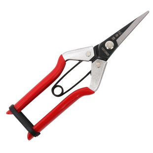̨���ۄ�ϡ����18010909ժ���� �ɹ��� ������֦���߻��߹���