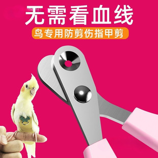 צ��ĥ�W�^ָ�׼�ָ�׵�ָ���B��ָ�׼��B����ĥ�Bצ�����QĬ�J�