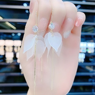 ���n�����L��׻������K�������hŮ�¿�p��С���@Ę�ݶ�����l