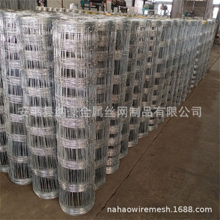 ����\ţ����ھW���ژ�׼�F�z�W��ԭ�W�r�����o�řھW