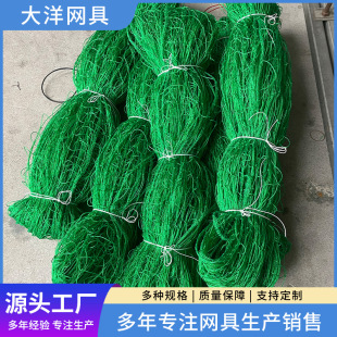 �u�W �S�����l��׽�����Bֳ�B�u�W �N�����l���x�řڇ��u�W���W