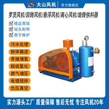 回转风机配件滴油嘴止回阀压力表油气分离包罗茨风机百事德启正