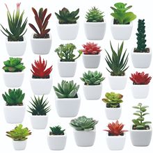 �羳����Gֲ�������ԽM�� Ins����С�辰�����ʯ�����մ�����