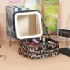 Small mirror, LED fill light