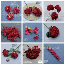 �����c�tɫϵ�л�Y�õ�픻��ű����b��Ĺ��Ցc���b��滨