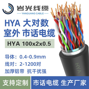 HYA 100x2x0.5 �󌦔� ��ȼͨӍ��|�����Ԓ�p�g�� �Ѓ�ͨ����|