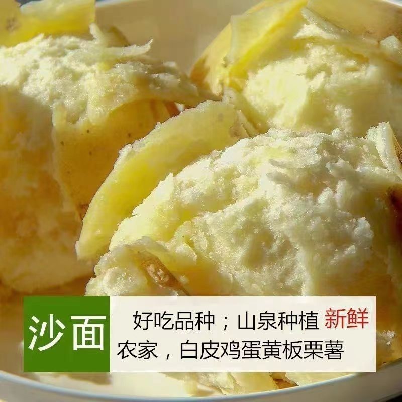 正宗潮汕现挖黄心板栗薯香甜软糯粉绿色食品农家板栗鸡蛋番薯瓜|undefined