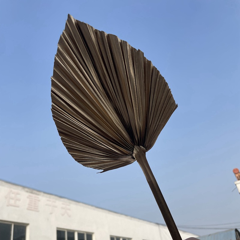 Golden cattail leaf dried flower palm leaf dried flower wedding…