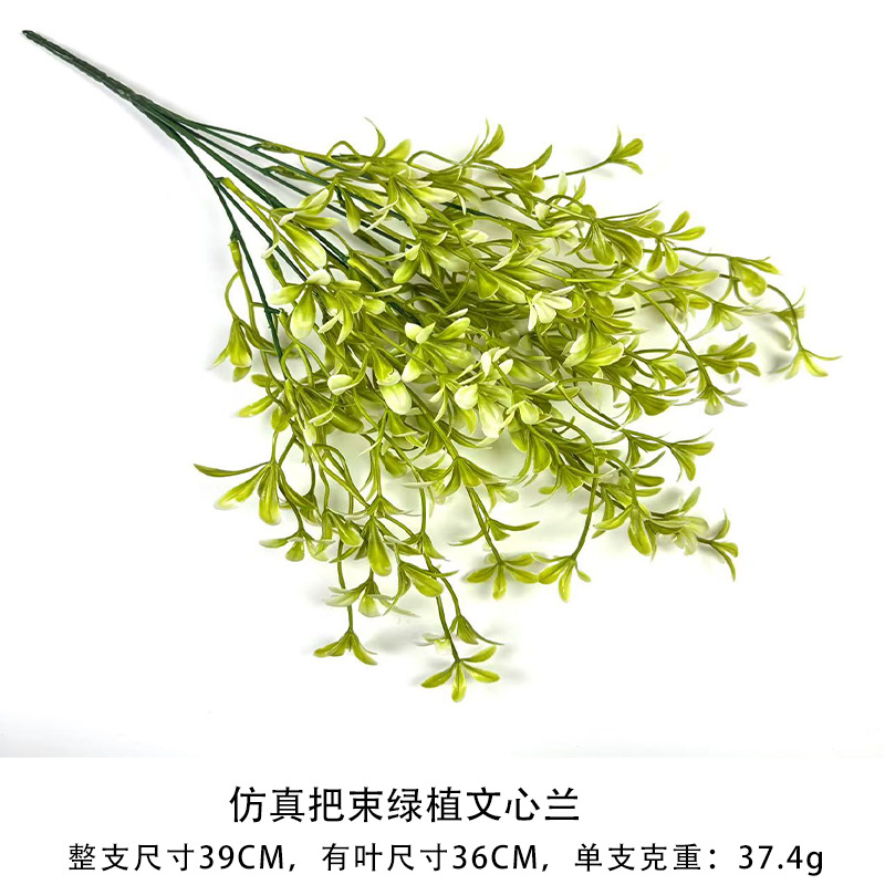 녹색 식물 온시디움의 시뮬레이션 묶음
